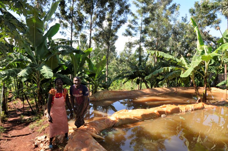 Julius Irungu and his wife next to their farm ponds. Photo: World Agroforestry Centre/ Susan Onyango