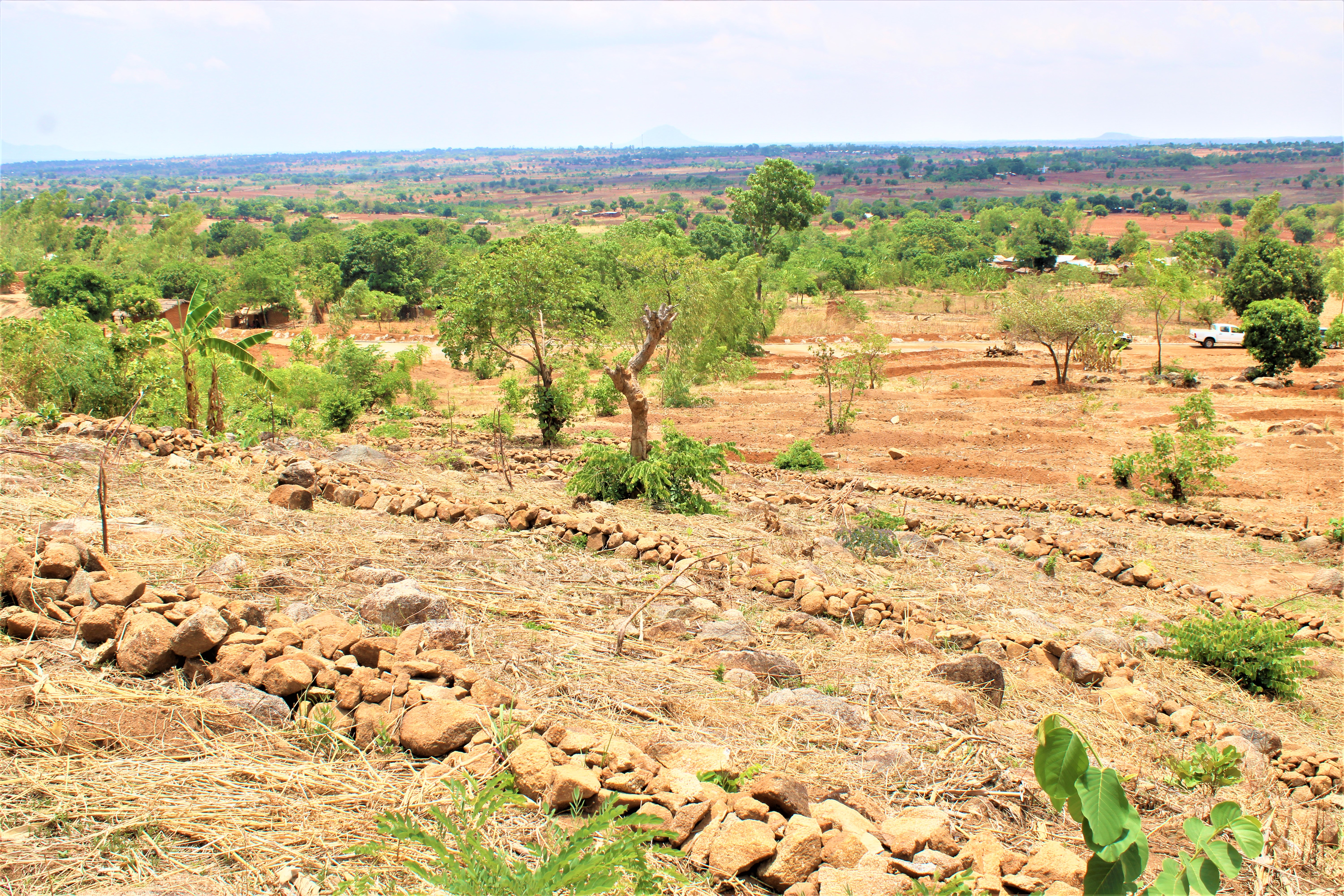 Les communautés ont construit des digues en pierre pour contrôler l'écoulement de l'eau. (Crédit : Felix Malamula, ERASP/PRIDE)