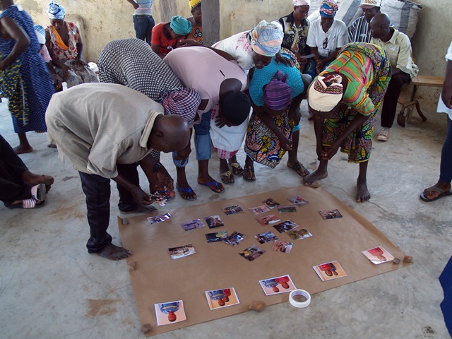 Les participants de Gwenia, au Ghana, discutent de l'emplacement des photos illustrant les tâches ménagères en fonction des normes de genre en vigueur dans la communauté. Crédit : World Agroforestry
