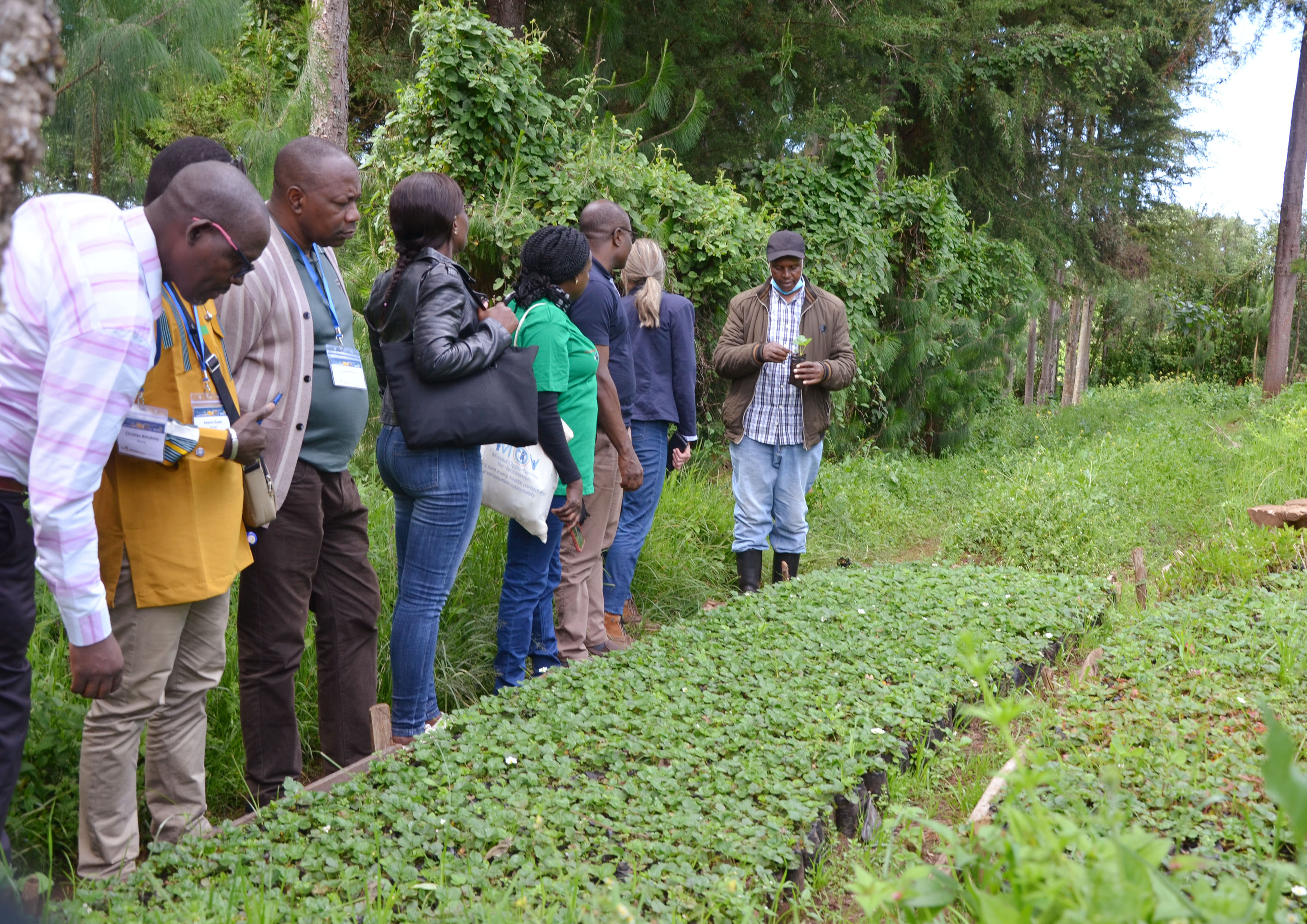 Visiting Peter Kamau’s strawberry farm. Thanks to the UTNWF contribution to capture water runoff in a reservoir on his farm, Peter has scaled his strawberry production from 0.5 acres to 2 acres and is now employing people to help on his farm. (Credit: ICRAF)