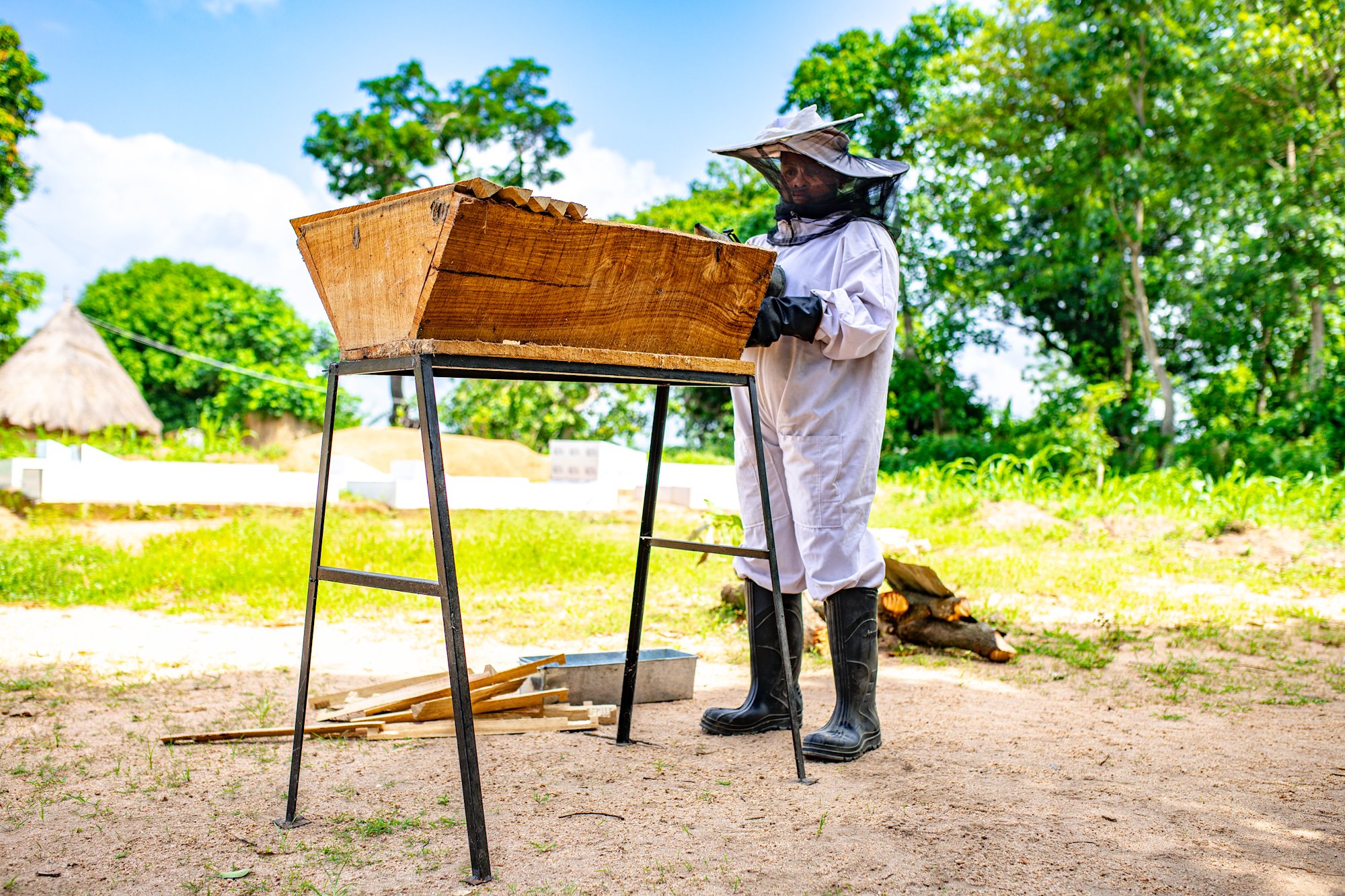 Kenya top bar augmente la productivité et la production de miel.