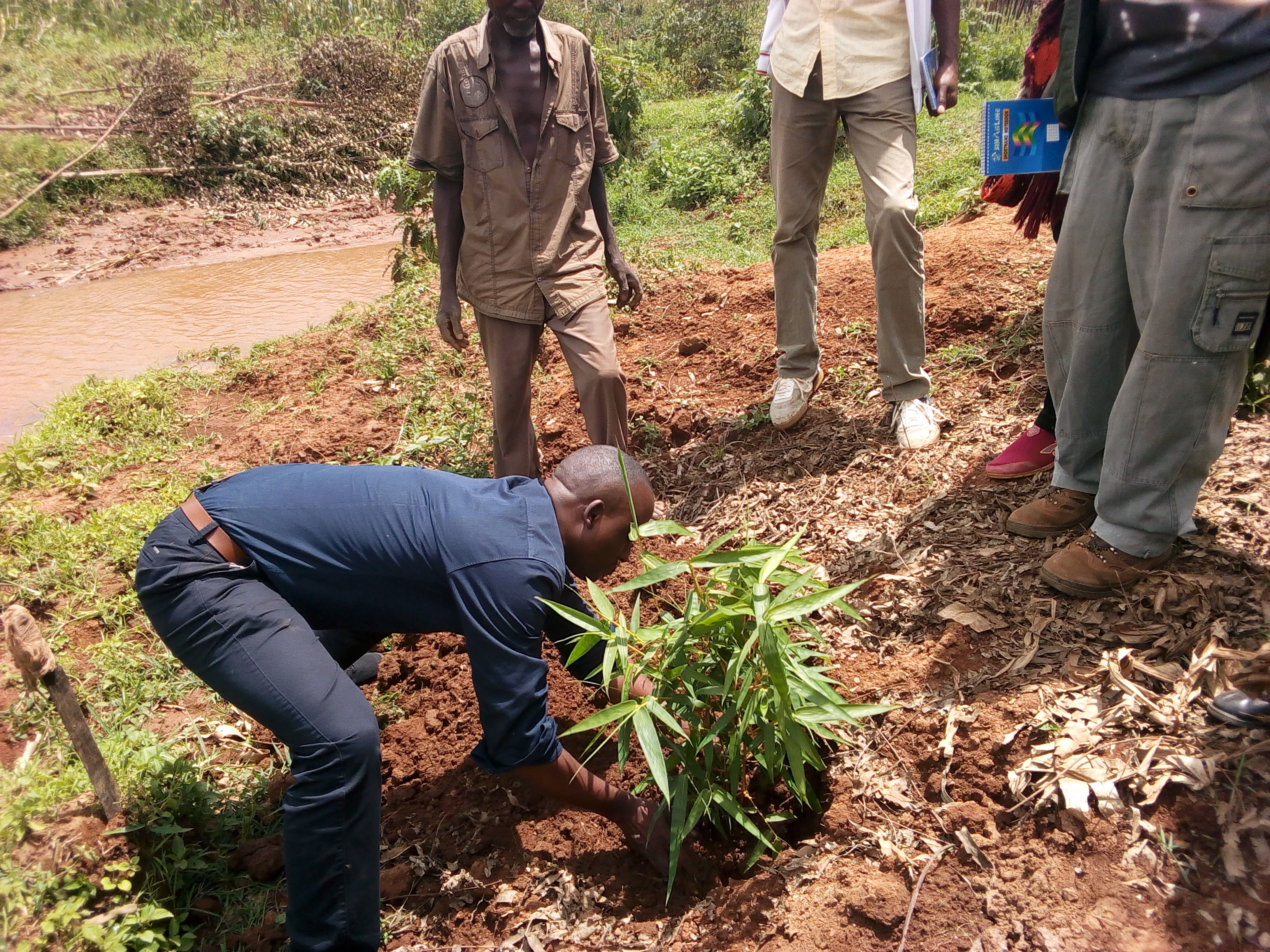 A Farmer Field School Master Trainer shows community members the correct technique for planting bamboo along the banks of the Kayokwe River.