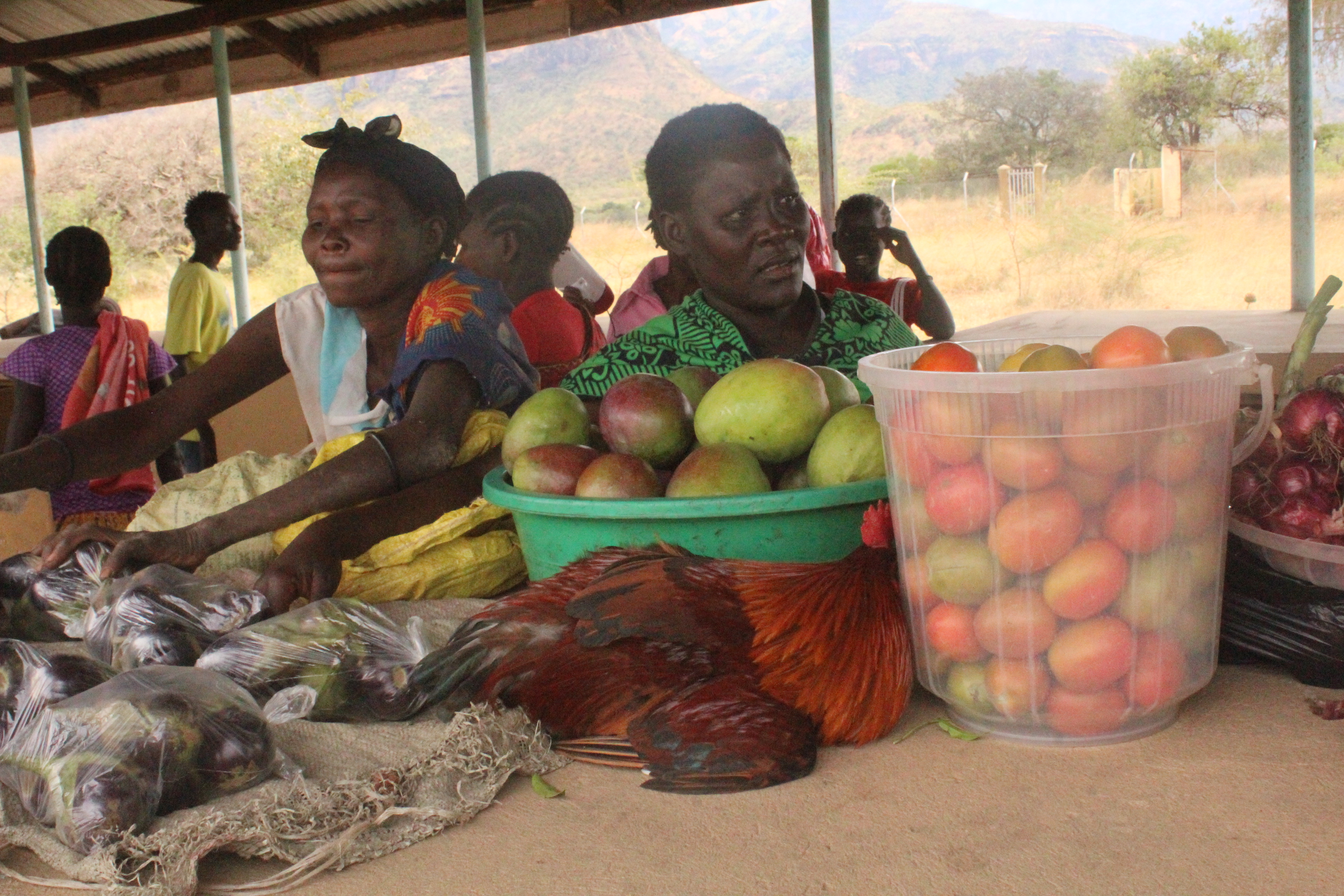 Bénéficiaires présentant leurs produits lors d'une journée de terrain à Mourita. Crédit : FAO/ECO Ouganda