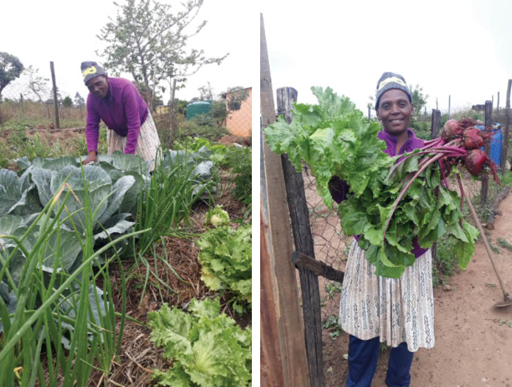 Bonelike Nkumane started her permaculture garden in 2018 after being selected as one of the 400 smallholder farmers to receive training from the RFS Eswatini project in permaculture and conservation agriculture. Two years later, Bonelike’s garden is a continual source of nutrient-rich, diverse foods for her family and other community members.