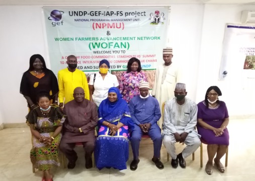 Together with WOFAN, the RFS Nigeria project organised a two-day workshop to establish the national multi-stakeholder platform and elect Executive Committee members (shown above) in Abuja, March 2021.