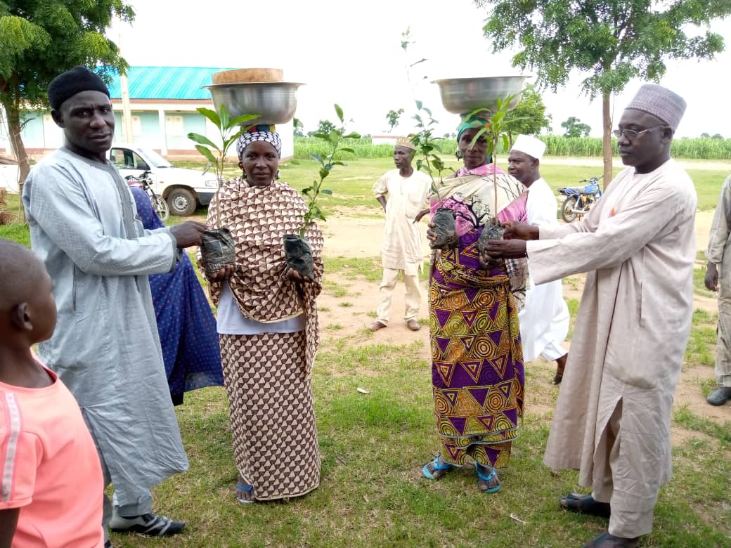 Following the training, the RFS project supported the distribution of tree seedlings and erosion control materials in Dutsen Kura and Kanya communities in Katsina State.