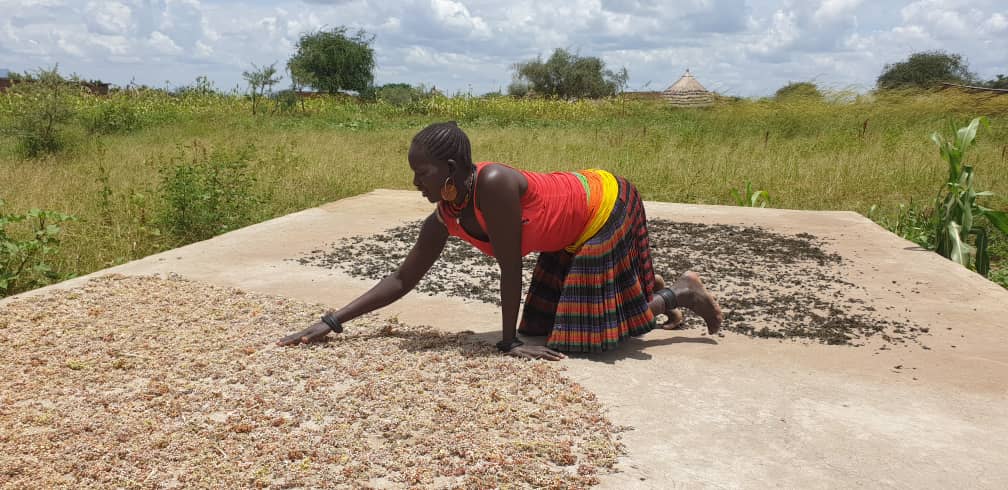 The slabs are strategically located between villages and are overseen by local women. Credit: Romano Lokong, Project Assistant Grassroots Alliance for Rural Development (GARD)